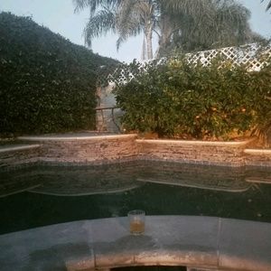 Meet your Posher, Roddie